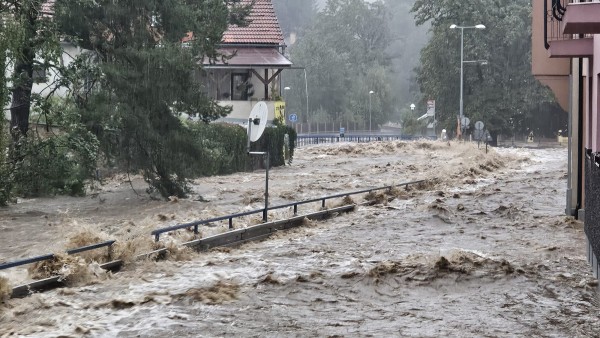 Fučíkova, 15. září 2024