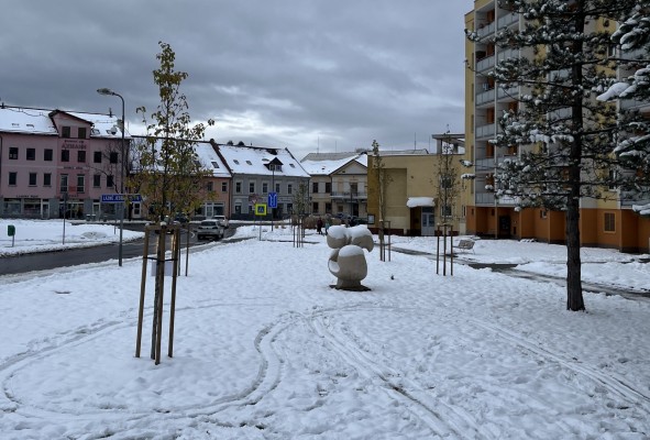 Výsadba stromů na Poštovní