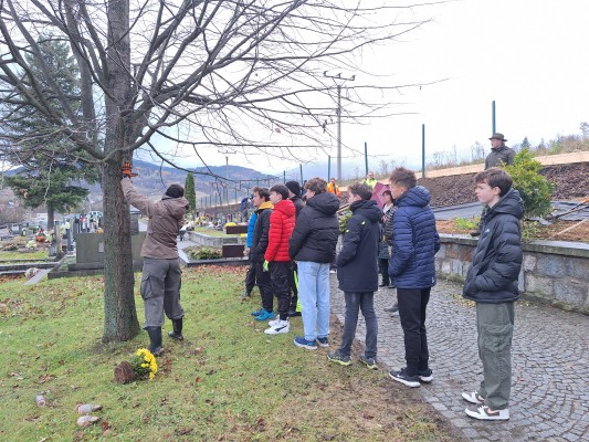 Žáci ze ZŠ Jeseník pomáhali s výsadbou habrů