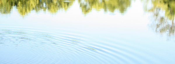 Ilustrační obrázek