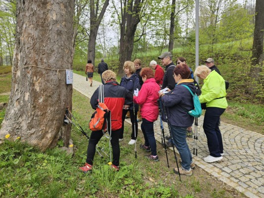 Vydali jsme se na první oficiální procházku po novém chodníku do lázní