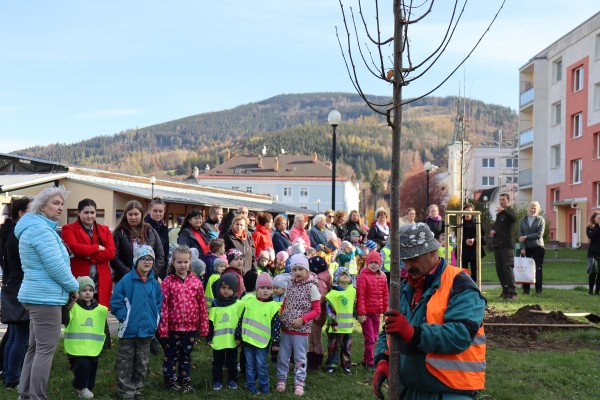 Výsadba na Tyršově ulici