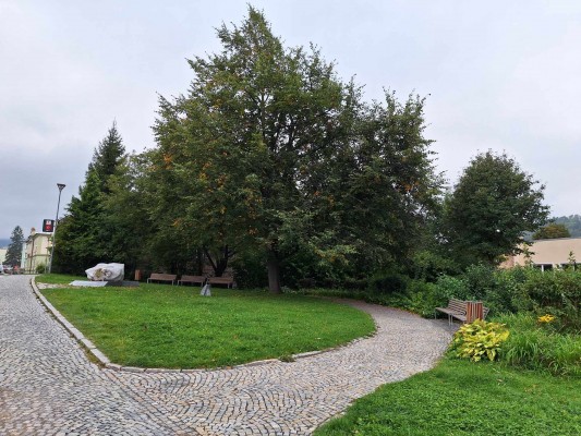 Obnova parčíku u Alberta