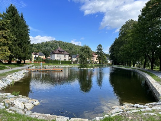 Komplexní oprava rybníčku se podařila