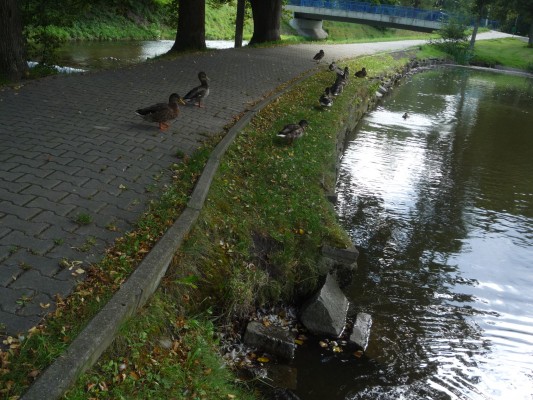 Před revitalizací