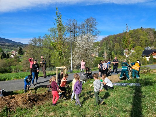 Den Země jsme v Jeseníku oslavili výsadbou lip