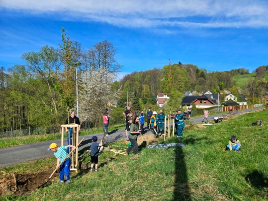 Den Země jsme v Jeseníku oslavili výsadbou lip