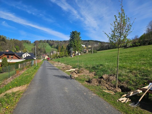 Den Země jsme v Jeseníku oslavili výsadbou lip